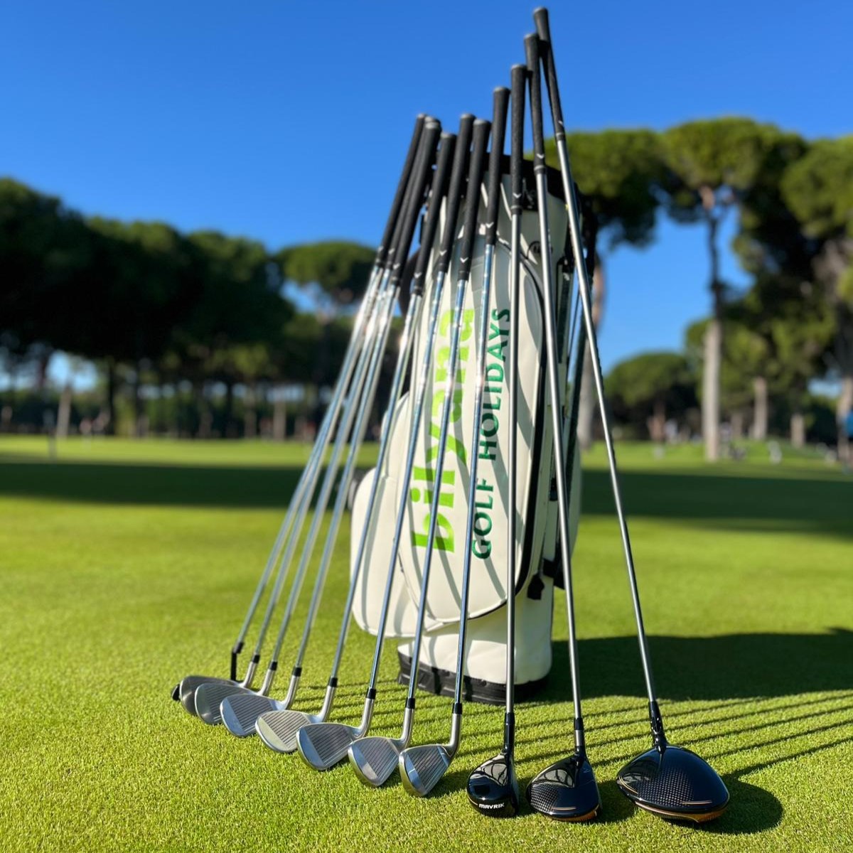 https://mail.bilyanagolf.fr/files/imaj/clubhire1.jpg
